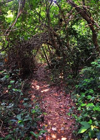khanhhoa-ivivu-14