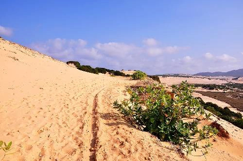 khanhhoa-ivivu-7
