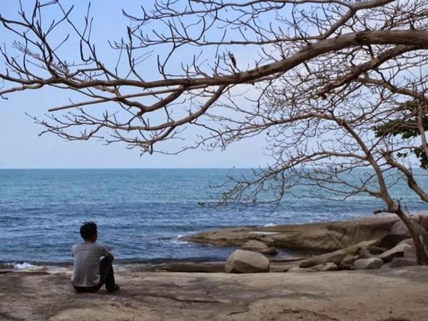 Bãi Thiên Tuế. Ảnh: Sói Phiêu Diêu. Bãi Thiên Tuế. Ảnh: Sói Phiêu Diêu.