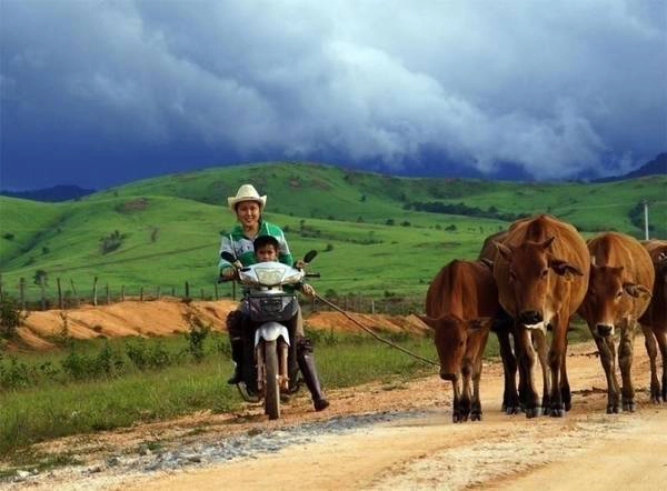 Không gian bình yên ở Xieng Khuang. Ảnh: cosianatour.com Không gian bình yên ở Xieng Khuang. Ảnh: cosianatour.com