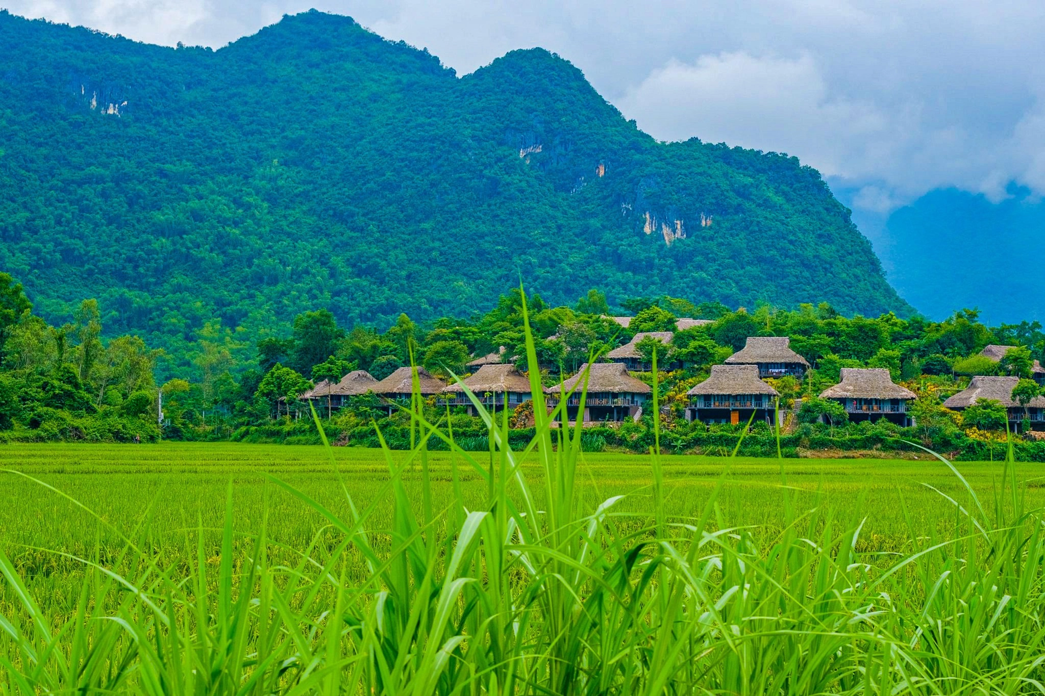 Ảnh: Fb Mai Chau Ecolodge.