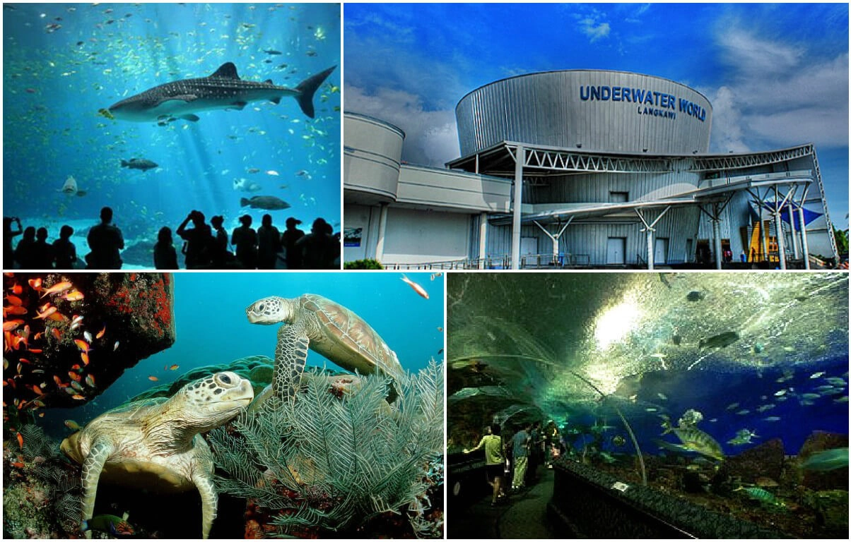 Thủy cung Underwater World