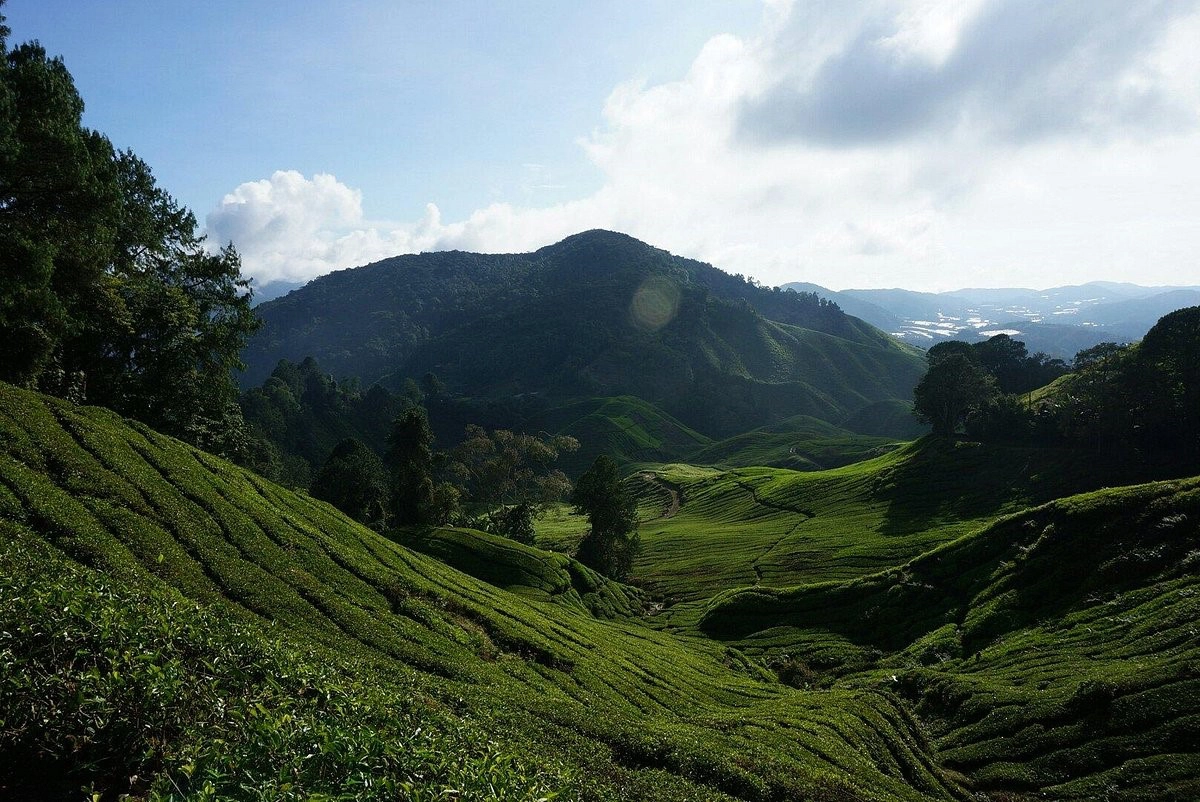 Núi Gunung Brinchang