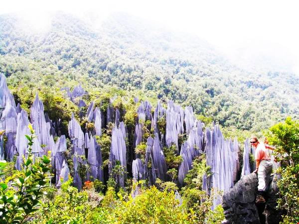 Unesco đã công nhận Vườn quốc gia Gunung Mulu của Malaysia là Di sản thiên nhiên thế giới năm 2000. Ảnh: wordpress. Unesco đã công nhận Vườn quốc gia Gunung Mulu của Malaysia là Di sản thiên nhiên thế giới năm 2000. Ảnh: wordpress.