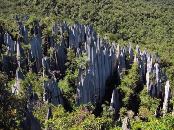 Vườn quốc gia Gunung Mulu có tổng diện tích chừng 52.865 ha rừng nhiệt đới nguyên sinh, nơi có những con sông quanh năm chảy xiết và những dòng suối trong veo. Ảnh: thousandwonders. Vườn quốc gia Gunung Mulu có tổng diện tích chừng 52.865 ha rừng nhiệt đới nguyên sinh, nơi có những con sông quanh năm chảy xiết và những dòng suối trong veo. Ảnh: thousandwonders.
