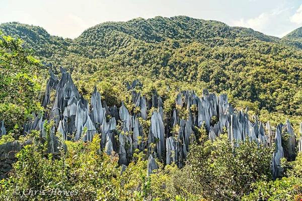 Vườn quốc gia Gunung Mulu nổi bật với ba ngọn núi hùng vĩ, Gunung Mulu cao 2.376m, Gunung Api cao 1.750m và ngọn Gunung Benarat cao 1.585m. Ảnh: mulupark. Vườn quốc gia Gunung Mulu nổi bật với ba ngọn núi hùng vĩ, Gunung Mulu cao 2.376m, Gunung Api cao 1.750m và ngọn Gunung Benarat cao 1.585m. Ảnh: mulupark.