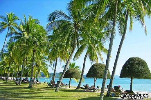 Hàng dừa xào xạc trong gió, biển xanh cát trắng, đây quả thật là một thiên đường! Hàng dừa xào xạc trong gió, biển xanh cát trắng, đây quả thật là một thiên đường!