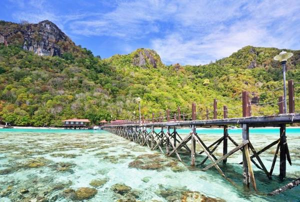 Đường vào rừng nhiệt đới Sabah – Borneo Đường vào rừng nhiệt đới Sabah – Borneo