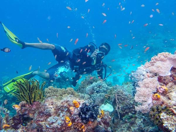 Lặn biển ở Sabah – Borneo là trải nghiệm thú vị Lặn biển ở Sabah – Borneo là trải nghiệm thú vị