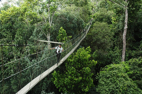 Du lich Malaysia qua 10 dia danh tuyet voi nhat ivivu 3