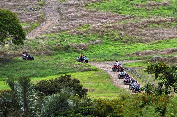 Đoàn du khách Việt trải nghiệm trò chơi lái xe địa hình tại Nature Park.