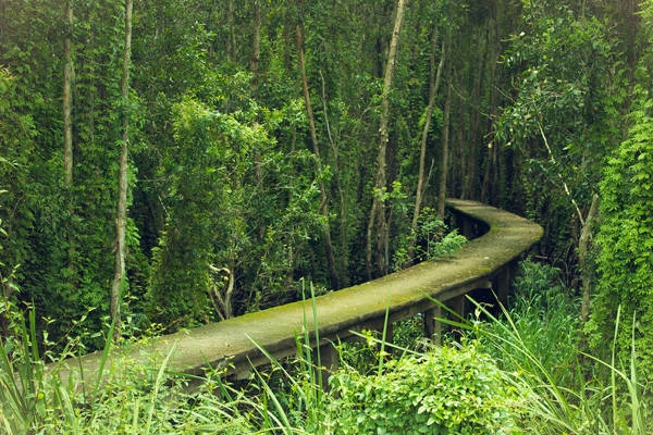 Ảnh: Trần Minh Sướng. Ảnh: Trần Minh Sướng.
