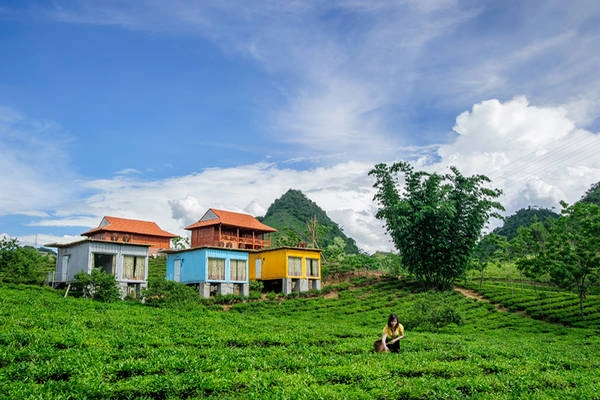 Mộc Châu Arena Village tọa lạc trên một triền đồi nhỏ xinh. Ảnh: mocchauarena.com Mộc Châu Arena Village tọa lạc trên một triền đồi nhỏ xinh. Ảnh: mocchauarena.com