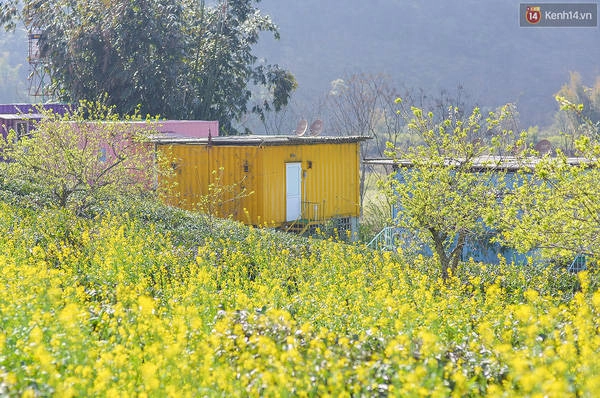 Không gian của Mộc Châu Arena Village rất gần gũi với thiên nhiên. Ảnh: Kenh14 Không gian của Mộc Châu Arena Village rất gần gũi với thiên nhiên. Ảnh: Kenh14