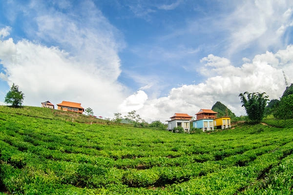 Mộc Châu Arena Village tọa lạc tại thị trấn nông trường Mộc Châu và rất thuận tiện đến các điểm du lịch nổi tiếng của Mộc Châu. Ảnh: mocchauarena.com Mộc Châu Arena Village tọa lạc tại thị trấn nông trường Mộc Châu và rất thuận tiện đến các điểm du lịch nổi tiếng của Mộc Châu. Ảnh: mocchauarena.com