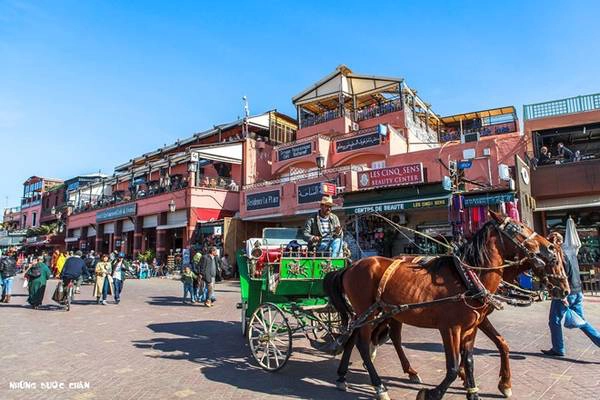 Quảng trường Jemaa el Fna trước khu vực phổ cổ Marrakech, du khách có cơ hội được gặp những người kể chuyện rong, dụ rắn, những chiếc xe ngựa lọc cọc chở khách, những xe đẩy độc đáo bán nước cam tươi, những món ăn truyền thống bày bán ê hề trong các khu chợ và những hàng hóa từ quần áo, thuộc da, hương liệu, thực phẩm, trang sức, mỹ nghệ, thảm, đèn treo… khắp các khu phố cổ theo kiểu Trung Đông đầy màu sắc huyền bí.