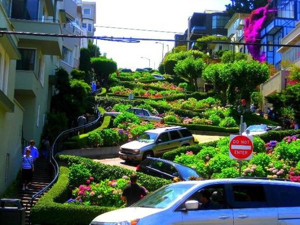 Cung đường dốc hình sin độc đáo nhất thế giới Lombard Street rực rỡ trong mùa hoa.