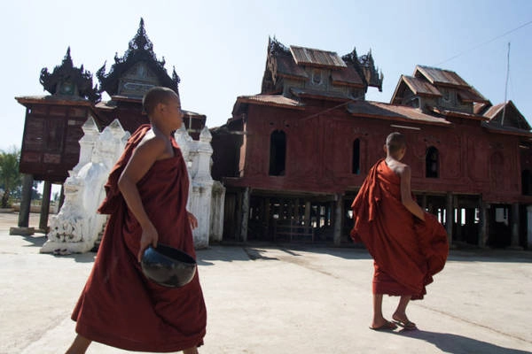 Giấc mơ trưa yên bình - Ảnh: Thủy Trần