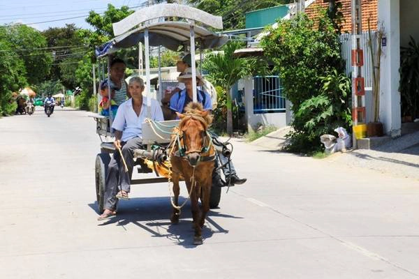 Ông Nguyễn Lã và chiếc xe ngựa duy nhất ở làng cổ Phú Vinh.