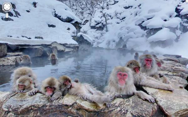 Công viên khỉ Jigokudani là một khu vực suối nước nóng nổi tiếng gần Nagano. Công viên khỉ Jigokudani là một khu vực suối nước nóng nổi tiếng gần Nagano.