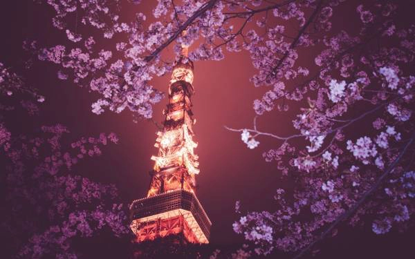 Tháp Tokyo được lấy cảm hứng từ thiết kế của tháp Eiffel. Tháp Tokyo được lấy cảm hứng từ thiết kế của tháp Eiffel.