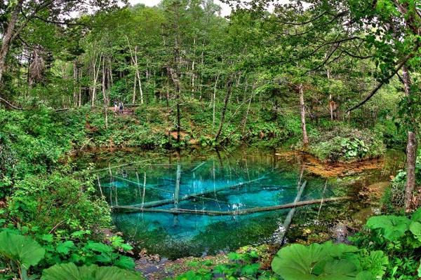 10-trai-nghiem-khong-the-quen-o-hokkaido-ivivu-9