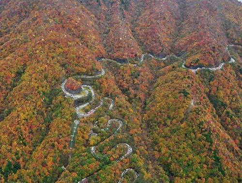 Irohazaka là một cặp đường quanh co kết nối trung tâm Nikko ở vùng núi của tỉnh Tochigi với khu vực Oku-Nikko nằm ở phía Tây Bắc Nikko, Nhật Bản. Irohazaka là một cặp đường quanh co kết nối trung tâm Nikko ở vùng núi của tỉnh Tochigi với khu vực Oku-Nikko nằm ở phía Tây Bắc Nikko, Nhật Bản.