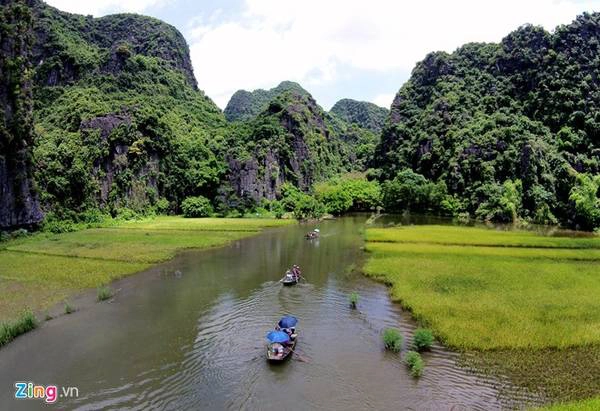 Mùa vàng ở Tam Cốc - Du lịch Ninh Bình