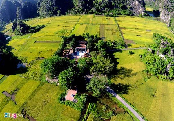 Mùa vàng ở Tam Cốc - Du lịch Ninh Bình