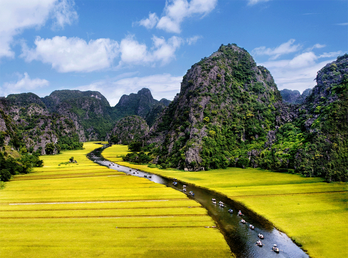 Dòng sông Ngô Đồng mùa lúa chín. 