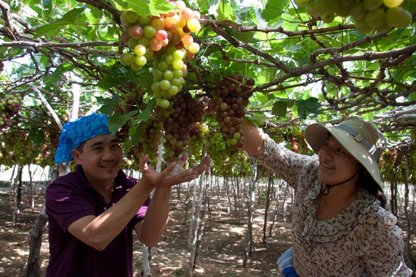 Du lich Ninh Thuan