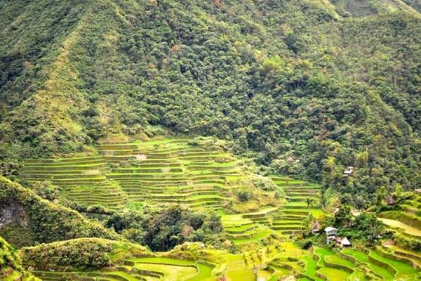 Nhiều du khách bắt đầu hành trình khám phá Cordillera từ thị trấn Banaue, cách Manila 15 giờ xe buýt. Nhiều du khách bắt đầu hành trình khám phá Cordillera từ thị trấn Banaue, cách Manila 15 giờ xe buýt.