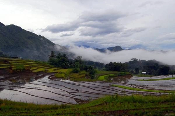 Những đám mây sà xuống thửa ruộng bậc thang gần Kiangan. Những đám mây sà xuống thửa ruộng bậc thang gần Kiangan.