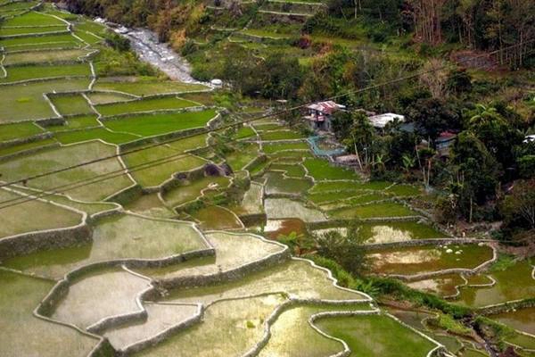 Ruộng bậc thang Hapao. Ruộng bậc thang Hapao.