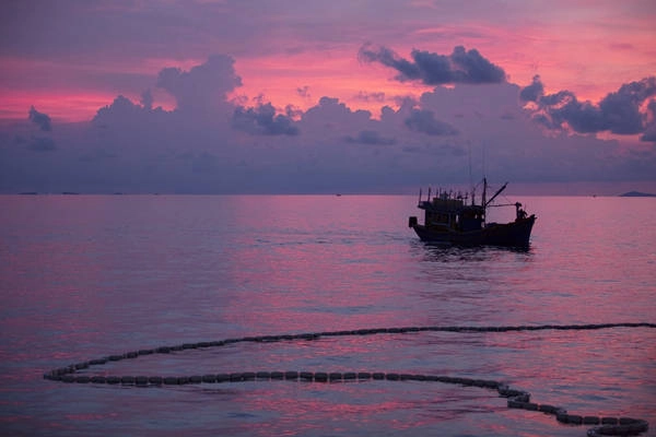 Nhiếp ảnh gia Tâm Bùi là "cha đẻ" của nhiều bộ ảnh có góc nhìn mới mẻ, giàu cảm xúc. Sau Gà trống Gà mái, Những kẻ mộng mơ, anh lại tiếp tục hút hồn những người yêu cái đẹp bằng một bộ ảnh gợi tả chân thực vẻ đẹp độc đáo của quá trình lao động làm ra giọt nước mắm Việt. Tâm Bùi hé lộ ý tưởng đến rất tình cờ khi anh có duyên gặp gỡ một chuyên gia làm nước mắm trong chuyến ngao du đến đảo ngọc. Nhiếp ảnh gia Tâm Bùi là "cha đẻ" của nhiều bộ ảnh có góc nhìn mới mẻ, giàu cảm xúc. Sau Gà trống Gà mái, Những kẻ mộng mơ, anh lại tiếp tục hút hồn những người yêu cái đẹp bằng một bộ ảnh gợi tả chân thực vẻ đẹp độc đáo của quá trình lao động làm ra giọt nước mắm Việt. Tâm Bùi hé lộ ý tưởng đến rất tình cờ khi anh có duyên gặp gỡ một chuyên gia làm nước mắm trong chuyến ngao du đến đảo ngọc.