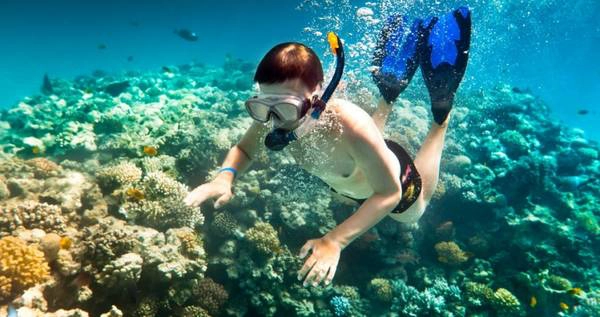 Lặn biển ngắm san hô ở Phú Quốc. Ảnh: dulichphuquocvt.com Lặn biển ngắm san hô ở Phú Quốc. Ảnh: dulichphuquocvt.com