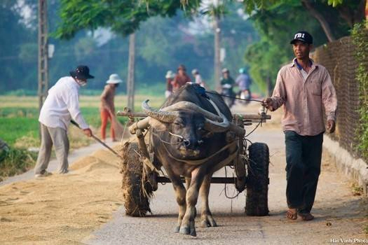 Một ngày mới bắt đầu với những công việc thường nhật của người nông dân. Một ngày mới bắt đầu với những công việc thường nhật của người nông dân.
