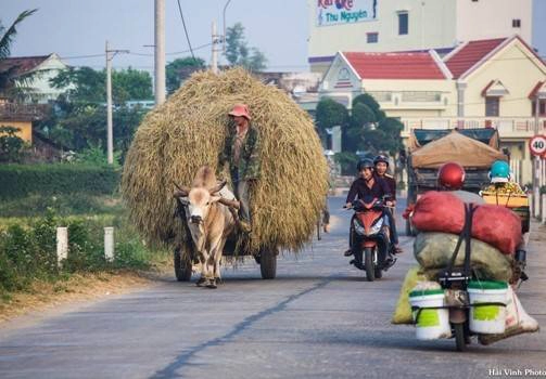 Xe rơm, xe thồ, xe máy, xe tải xen lẫn nhau. Cuộc sống diễn ra rất êm ả, không hề có sự vội vàng, gấp gáp. Xe rơm, xe thồ, xe máy, xe tải xen lẫn nhau. Cuộc sống diễn ra rất êm ả, không hề có sự vội vàng, gấp gáp.