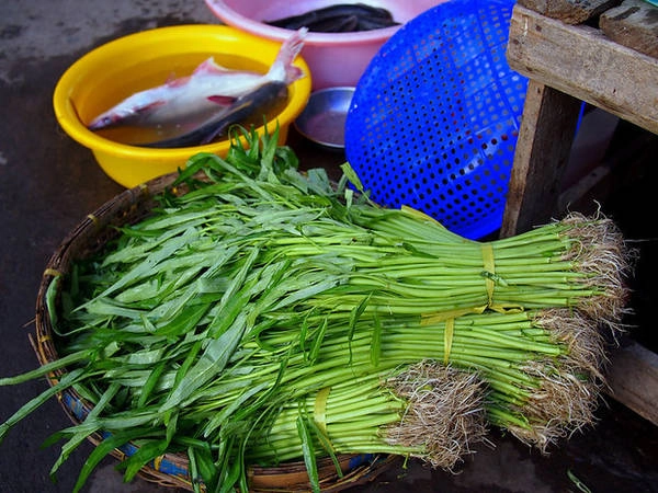 Những gánh rau xanh mướt vào buổi sớm tinh mơ.