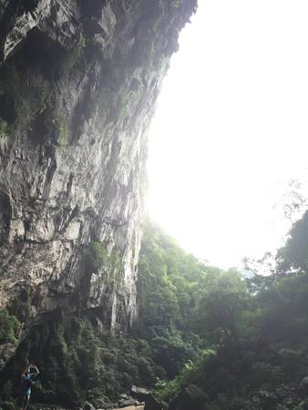 Từ cửa hang nhìn ra là một khu rừng nguyên sinh rộng lớn.