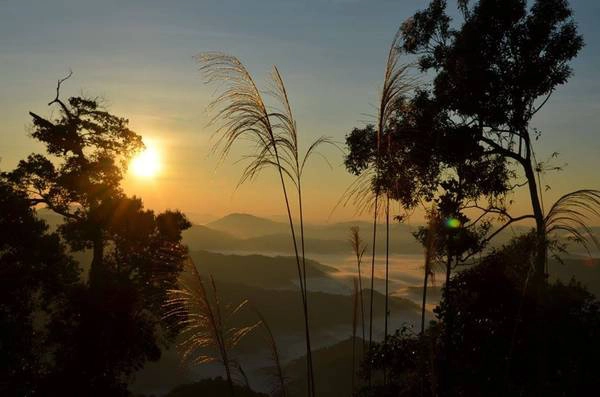 tay-giang-quang-nam-ivivu-1