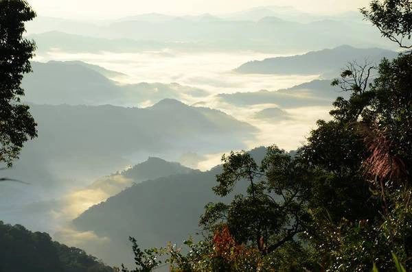 tay-giang-quang-nam-ivivu-20