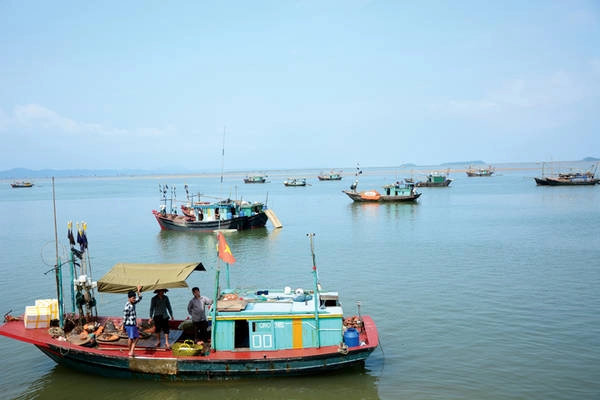 Những con thuyền đánh cá đậu ở bến Những con thuyền đánh cá đậu ở bến