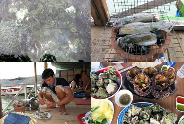 San hô nhìn rõ nhờ làn nước trong vắt (ảnh trên, bên trái) và các món ăn đặc sản biển Quy Nhơn, được dân địa phương phục vụ tận bàn San hô nhìn rõ nhờ làn nước trong vắt (ảnh trên, bên trái) và các món ăn đặc sản biển Quy Nhơn, được dân địa phương phục vụ tận bàn