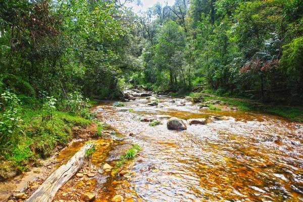 Trong truyền thuyết, thác Tình yêu là nơi gặp gỡ của một nàng Tiên trời và chàng tiều phu tên Ô Quy Hồ. Tuy nhiên vì không được sự đồng ý của nhà Trời mà đôi trái gái này không thể tới được với nhau. Cuối cùng vì nhớ người yêu, nàng Tiên trời đã hóa thành loài chim lông vàng bay quanh đỉnh núi kêu 3 tiếng Ô Quy Hồ da diết khôn nguôi. 