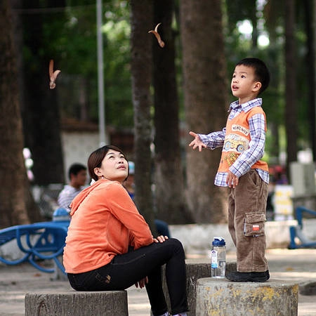 Du lịch Sài Gòn - Sẽ có một mùa Chò Nâu "đặc biệt" trong tâm trí bạn khi đã từng ở Sài Gòn.