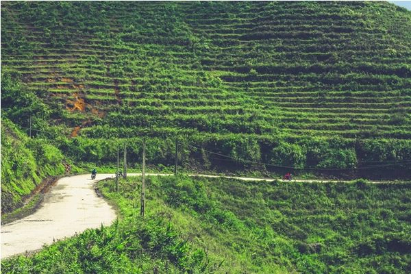 Con đường dẫn vào bản Tả Van