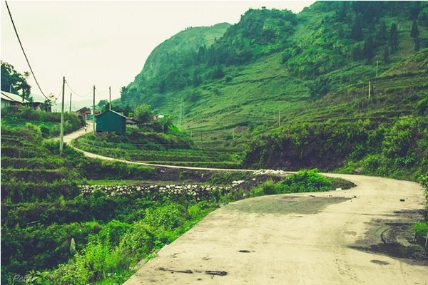 Đường vào bản Cát Cát, đi bộ để trải nghiệm hết nhé