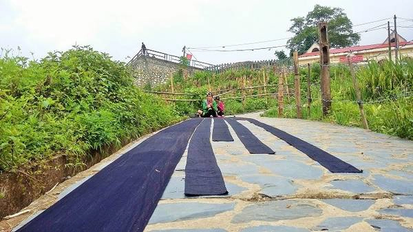 Dọc theo lối nhỏ từ biển chỉ dẫn tới "Bãi đá cổ" là bạn có thể quan sát và thăm thú những phiến đá cổ từ lớn tớ nhỏ với hình thù chạm khắc đa dạng.