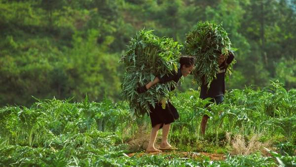Đi bộ tham quan các bản làng giúp bạn có cơ hội hiểu hơn về cuộc sống của người dân địa phương. Ảnh: Buffalotours.com Đi bộ tham quan các bản làng giúp bạn có cơ hội hiểu hơn về cuộc sống của người dân địa phương. Ảnh: Buffalotours.com